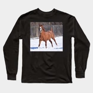 Verrazano filly Long Sleeve T-Shirt